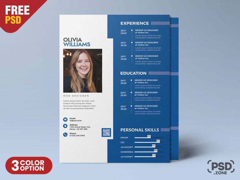 Modern Resume Curriculum Vitae Template PSD PSD Zone Modern Resume Curriculum Vitae Template PSD PSD Zone